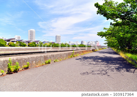 Looking towards Takasu Bridge/Sakai River (Urayasu City, Chiba Prefecture) [June 2023] 103917364