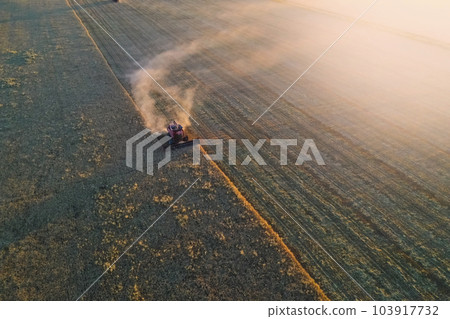 Barley harvest aerial view, in La Pampa, Argentina. 103917732