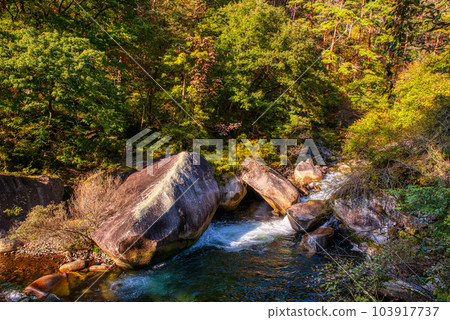 Yamanashi Prefecture Autumn leaves Shosenkyo Yamanashi Prefecture Autumn leaves Shosenkyo 103917737