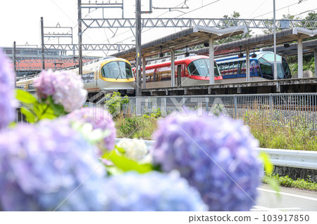 Kintetsu Kashikojima Station and Hydrangea Kintetsu Kashikojima Station and Hydrangea 103917850