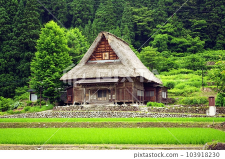 稻田的茅草屋頂 103918230