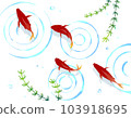 深紅色金魚在水中游動日本背景素材 103918695