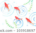 紅色金魚在水中游動日本背景素材 103918697
