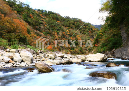 Autumn landscape in valley with color changing maple trees and stream, rocks Autumn landscape in valley with color changing maple trees and stream, rocks 103919815