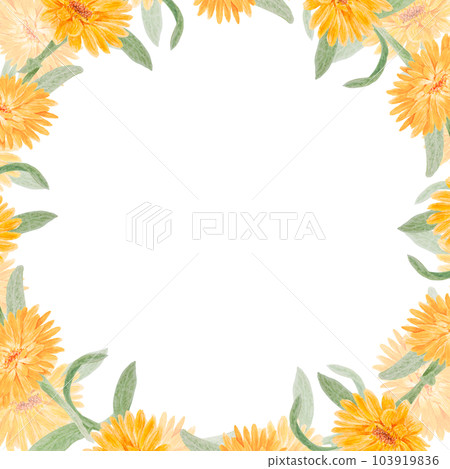 Frame of orange calendula officinalis. Watercolor hand drawn illustration. Botanical painting for labels, eco goods, textiles, natural herbal medicine, healthy tea, cosmetics and homeopatic remedies. Frame of orange calendula officinalis. Watercolor hand drawn illustration. Botanical painting for labels, eco goods, textiles, natural herbal medicine, healthy tea, cosmetics and homeopatic remedies. 103919836