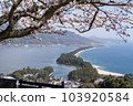 Amanohashidate under Sakura 103920584