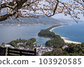 Amanohashidate under Sakura 103920585