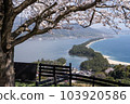 Amanohashidate under Sakura 103920586
