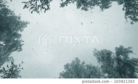 Falling snow from above. Snowfall. Snow falls in flakes vertically from above against sky, snow-covered treetops on winter day. Lot of snow falls from above. Winter seasonal background. Snowy backdrop Falling snow from above. Snowfall. Snow falls in flakes vertically from above against sky, snow-covered treetops on winter day. Lot of snow falls from above. Winter seasonal background. Snowy backdrop 103921383