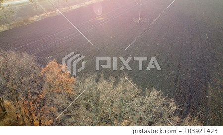 Plowed field and trees without leaves lit sunlight on sunny autumn spring day. Tilled land field. Chernozem black earth field. Dug up earth. Flying over agricultural field. Aerial view. Red sun glare 103921423