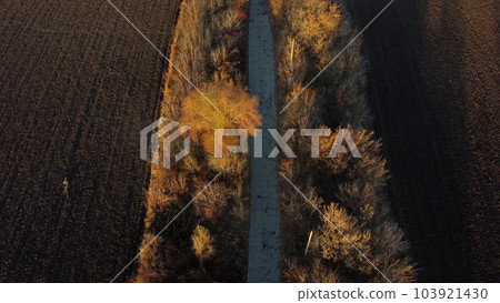 Beautiful landscape view old asphalt road with trees and shadows between large plowed agricultural fields of black soil on sunny autumn evening. Flying over dug agrarian fields of earth. Aerial drone Beautiful landscape view old asphalt road with trees and shadows between large plowed agricultural fields of black soil on sunny autumn evening. Flying over dug agrarian fields of earth. Aerial drone 103921430