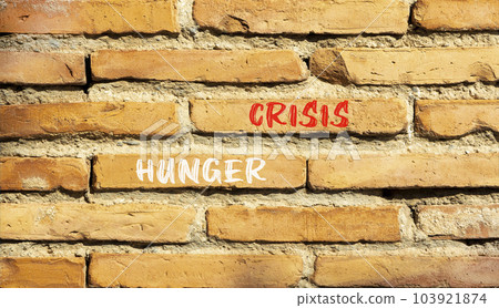 Hunger crisis symbol. Concept words Hunger crisis on beautiful brown bricks on a beautiful brick wall background. Business, support and Hunger crisis concept. Copy space. Hunger crisis symbol. Concept words Hunger crisis on beautiful brown bricks on a beautiful brick wall background. Business, support and Hunger crisis concept. Copy space. 103921874