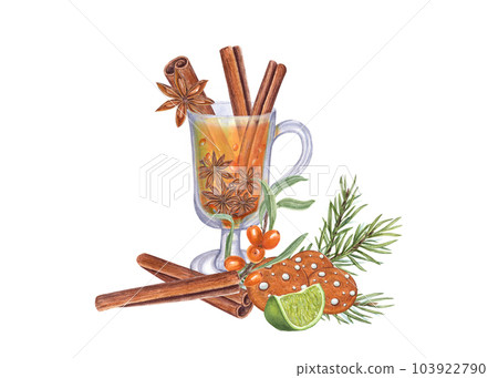 Christmas hot drink with lime, sea buckthorn berries, cinnamon, star anise, gingerbread cookies and fir branch isolated on white. Hand drawn illustration of beverage and decoration 103922790
