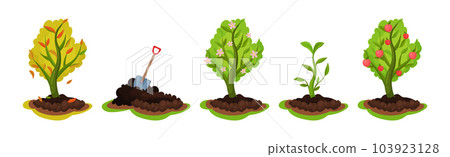 Soil or Ground with Growing Plant as Garden Growth Vector Set 103923128