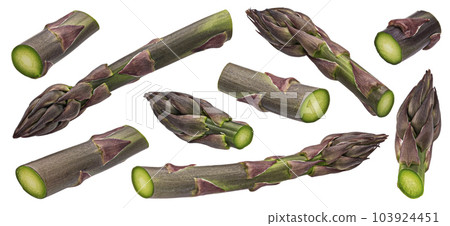 Purple asparagus isolated white background, full depth of field Purple asparagus isolated white background, full depth of field 103924451