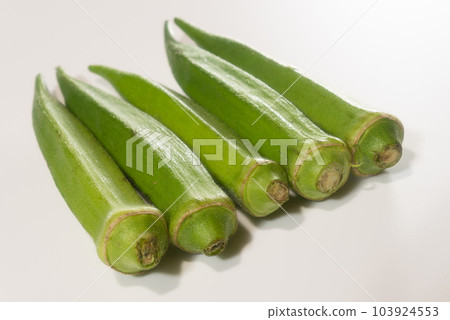 green summer vegetable okra 103924553