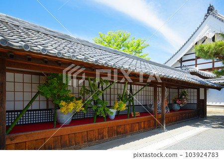 Daikakuji Ikebana, fresh green leaves and green maple leaves Daikakuji Ikebana, fresh green leaves and green maple leaves 103924783