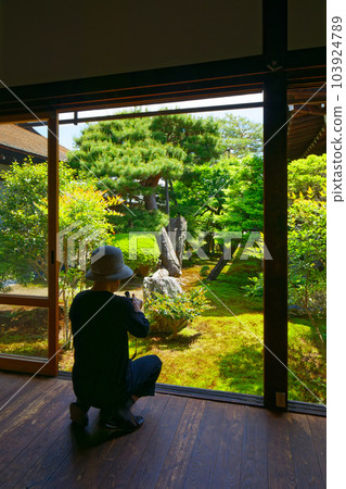 Daikakuji garden, young leaves and fresh greenery, green maple Daikakuji garden, young leaves and fresh greenery, green maple 103924789