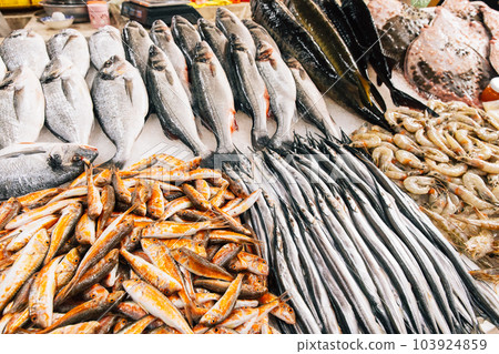 Fresh garfish Fish - Belone belone - On Display On Ice On Fishermen Market Store Shop. Seafood Fish Background. The garfish Belone belone, also known as the garpike or sea needle, is a pelagic. 103924859