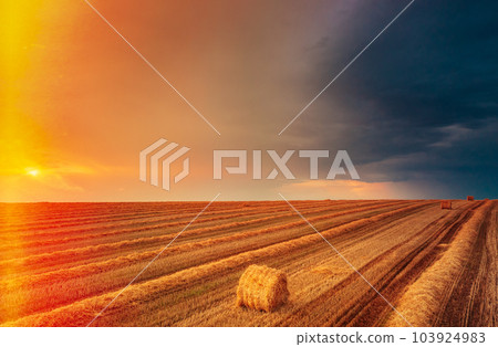 Summer Field Meadow With Hay Bales Under Sunset Sunlight. Bright Sky And cut straw on Ground. Sun Over Rural Countryside Field At Dawn Or Sunrise Background, Summer Field Meadow With Hay Bales Under Sunset Sunlight. Bright Sky And cut straw on Ground. Sun Over Rural Countryside Field At Dawn Or Sunrise Background, 103924983