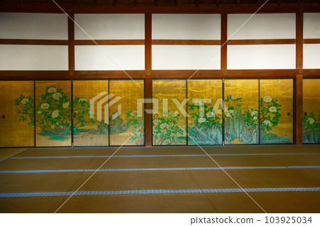 Daikaku-ji Temple:新綠葉和綠楓葉的嫩葉 Daikaku-ji Temple:新綠葉和綠楓葉的嫩葉 103925034