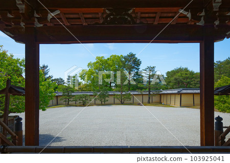 Daikaku-ji Temple：新綠葉和綠楓葉的嫩葉 103925041