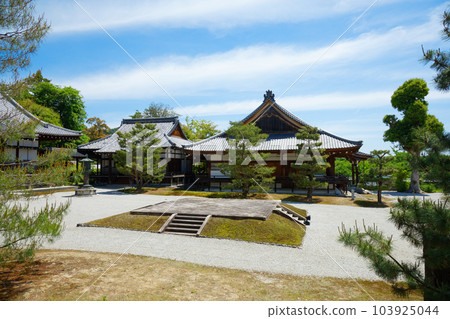 Daikaku-ji Temple：新綠葉和綠楓葉的嫩葉 103925044