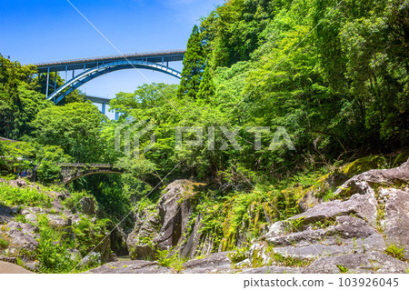 Fresh green Takachiho Gorge Mihashi Bridge 103926045