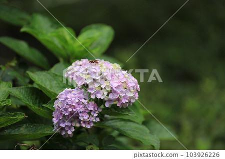 我在三池公園散步 我在三池公園散步 103926226