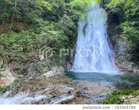 新綠的常光寺瀑布 103926766