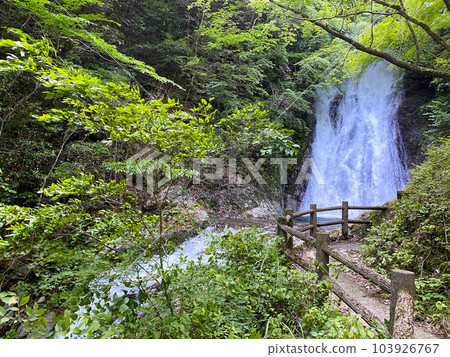 新綠的常光寺瀑布 103926767