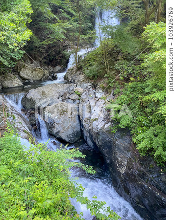 新綠的常光寺瀑布 103926769