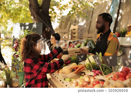 Young friendly African American guy farmer serving woman while selling home-grown farm produce at local food market. Female customer buying fresh organic fruits and vegetables 103926938
