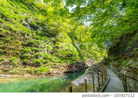 Oyasukyo Great Fountain Spring Fresh Green 103927112