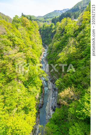 Oyasukyo Great Fountain Spring Fresh Green 103927115