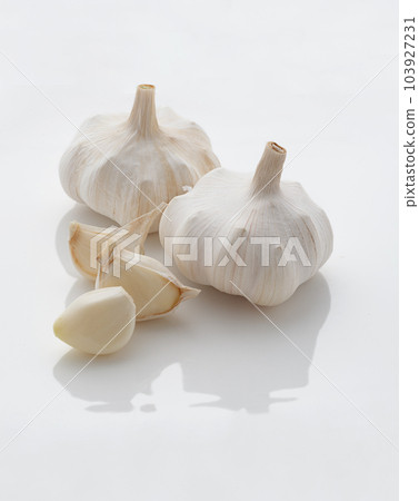 garlic white background garlic white background 103927231