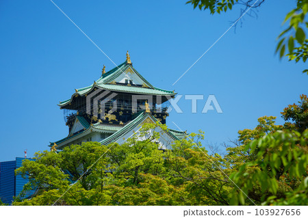 大阪城，大阪城公園，新鮮的綠葉，綠色的楓葉 103927656