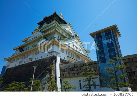 大阪城,大阪城公園,新鮮的綠葉,綠色的楓葉 大阪城,大阪城公園,新鮮的綠葉,綠色的楓葉 103927705