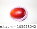 芒果 103928042