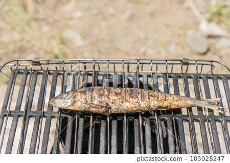 [Salted sardine grilled at the auto campsite] 103928247