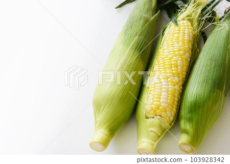 Freshly harvested Dolce Dream (corn) Freshly harvested Dolce Dream (corn) 103928342