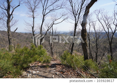 Looking towards Ashikaga City from the ridge of the mountain trail from Mt. Maesenningatake to Mt. Senningatake April 4, 2023 103928617