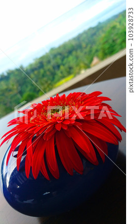 美麗的紅色花朵 103928733