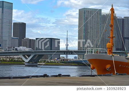 Scenery of Tokyo Bay Scenery of Tokyo Bay 103928923