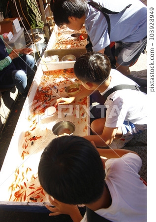 孩子們對在節日里撈金魚著迷。節日期間,神社的院內擠滿了大人和小孩,他們走來走去吃東西。 孩子們對在節日里撈金魚著迷。節日期間,神社的院內擠滿了大人和小孩,他們走來走去吃東西。 103928949