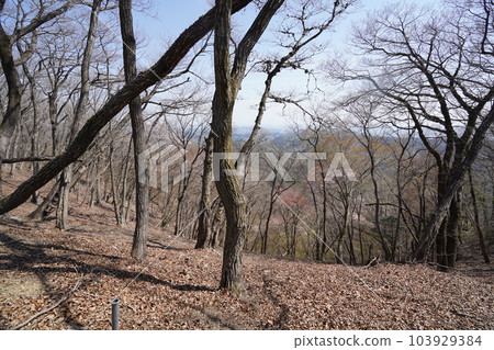 A famous mountain on the border between Gunma and Tochigi Prefectures, looking towards Ashikaga City from near the summit of Mt. Senningatake April 4, 2023 103929384