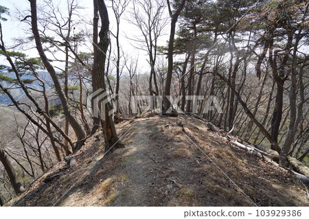 Mountain trail from Mt. Senningatake to Mt. Senningatake near the summit of Mt. Senningatake April 4, 2023 103929386