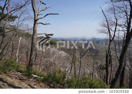 Mountain trail from Mt. Senningatake to Mt. Maesenningatake Looking towards Ashikaga City from near the summit of Mt. Senningatake April 4, 2023 Mountain trail from Mt. Senningatake to Mt. Maesenningatake Looking towards Ashikaga City from near the summit of Mt. Senningatake April 4, 2023 103929388