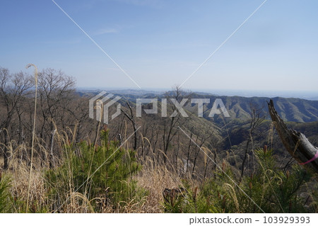 View of Ashikaga City from the mountain trail from Mt. Senningatake to Mt. Maesenningatake April 4, 2023 View of Ashikaga City from the mountain trail from Mt. Senningatake to Mt. Maesenningatake April 4, 2023 103929393