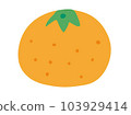 Mandarin orange  103929414